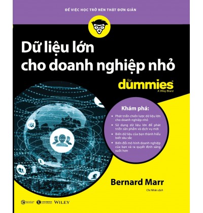 DỮ LIỆU LỚN CHO DOANH NGHIỆP NHỎ FOR DUMMIES